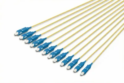 DK-292221-01