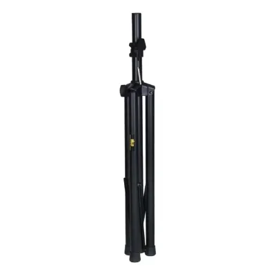 WS-16-1.webp