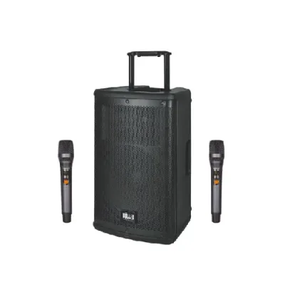 W-1230DSP-1.webp