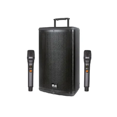 W-1540DSP-1.webp